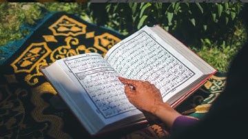 [سورة هود] ولقد أرسلنا موسى بآياتنا وسلطان مبين