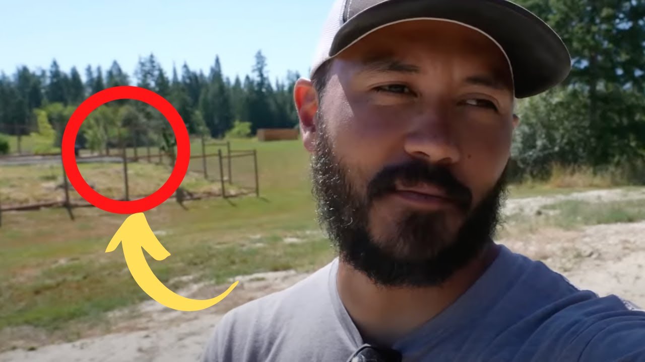 9 things good simple living tried to hide from you youtube