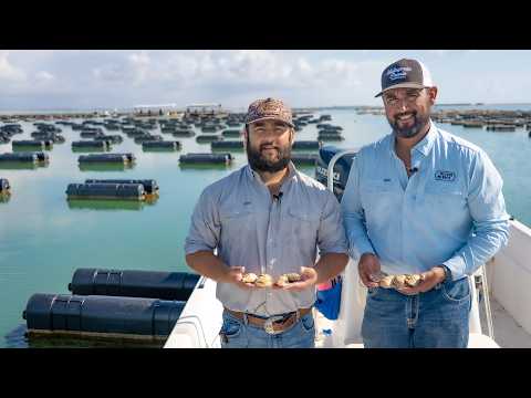 Flavors of the Bay | Oyster Harvest 2026