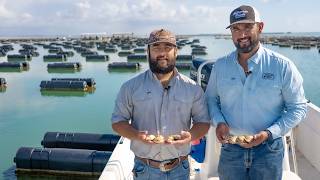 Flavors of the Bay | Oyster Harvest 2026