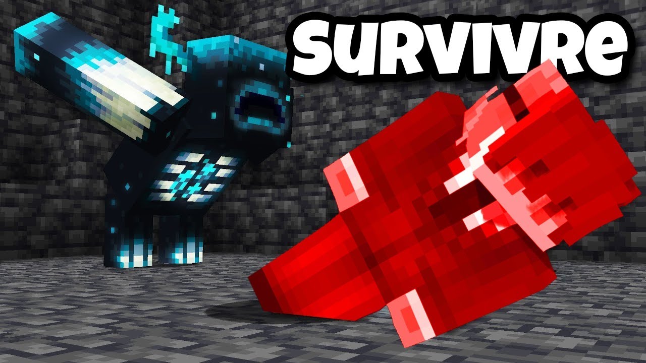 J'ai RÉALISÉ 10 Défis IMPOSSIBLE de YouTubeurs !