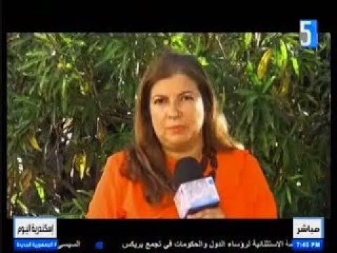 الاعلامية هبه عنان اسكندرية اليوم 8 9 2025 الذكاء الاصطناعى