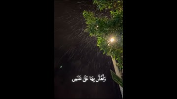 سورة طه ( 17-19 ) بصوت القارئ محمد أيوب 🤍✨ #قرآن #quran  #استغفر_الله #fyp #سورة_طه #محمد_ايوب