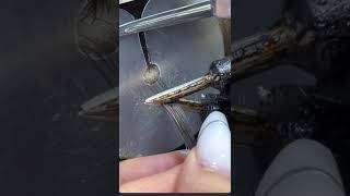Hair extensions #shorts #hair #hairextensions #yt #ytshorts #viral #explore #pragyarathorevlogs