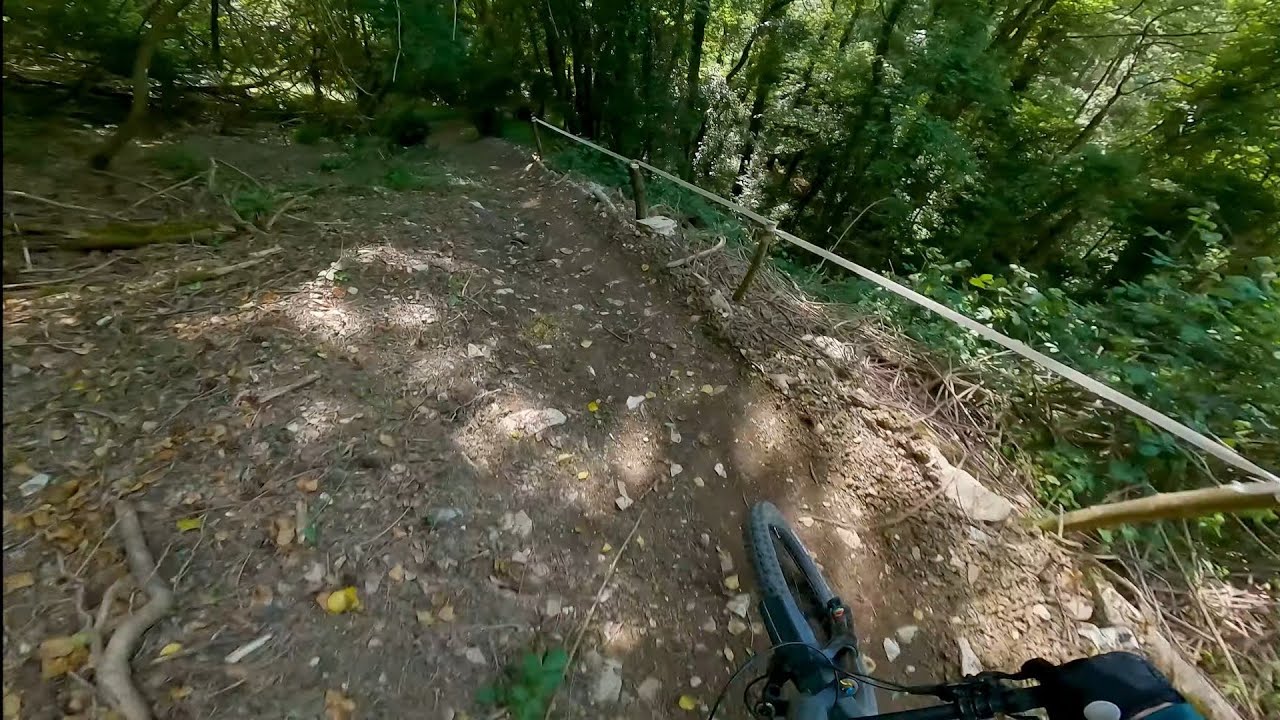 Salamandra - Monte Morello