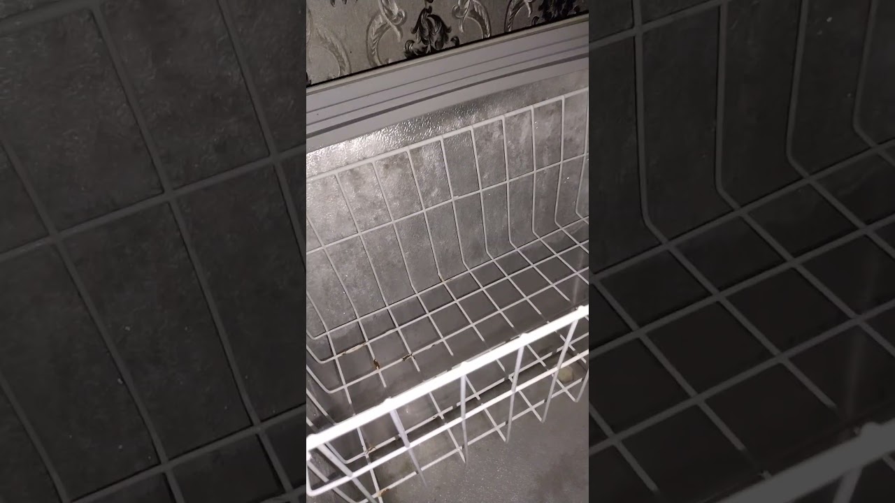 Deep Freezer