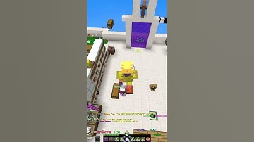 How To Waste Coins Like A PRO! (Hypixel Skyblock)