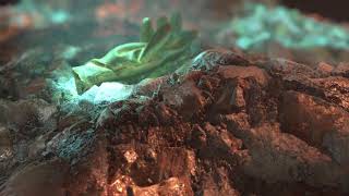 Material - Old chimney rubble