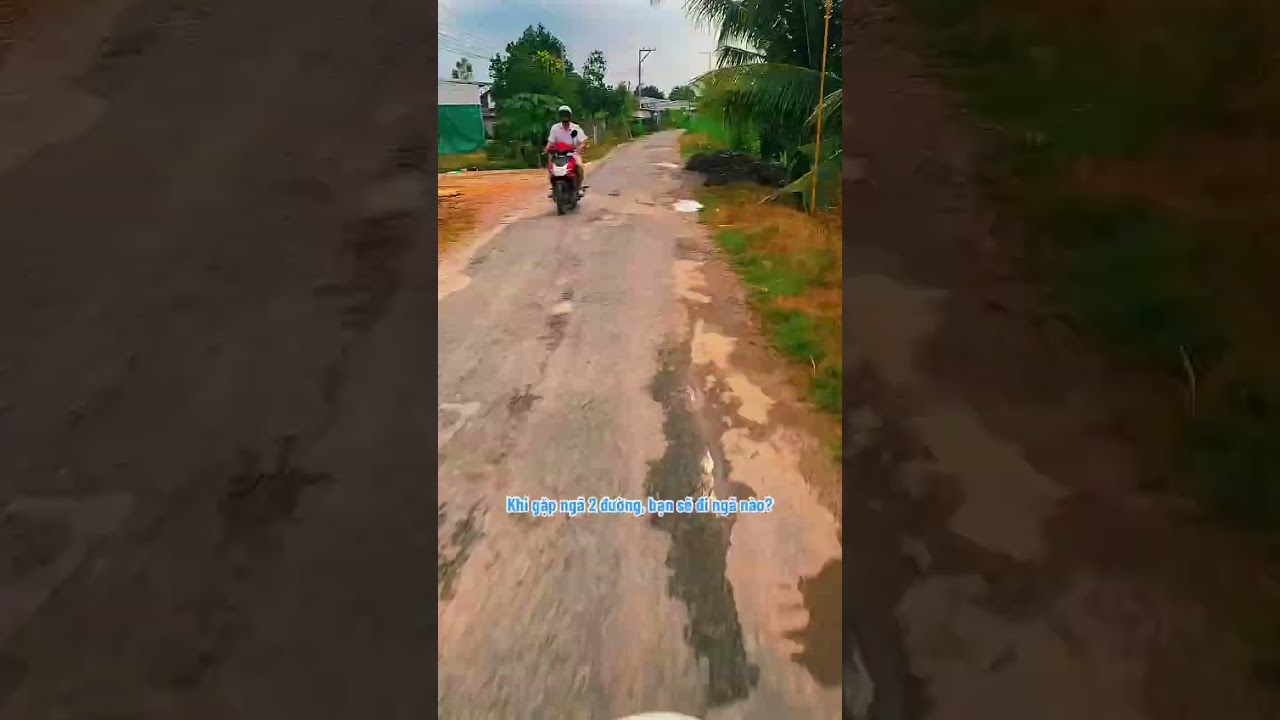 Khi gặp ngã 2 đường bạn sẽ đi ngã nào?