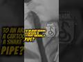 Why 15,000 German Soldiers Surrendered to a Cartoon Snake