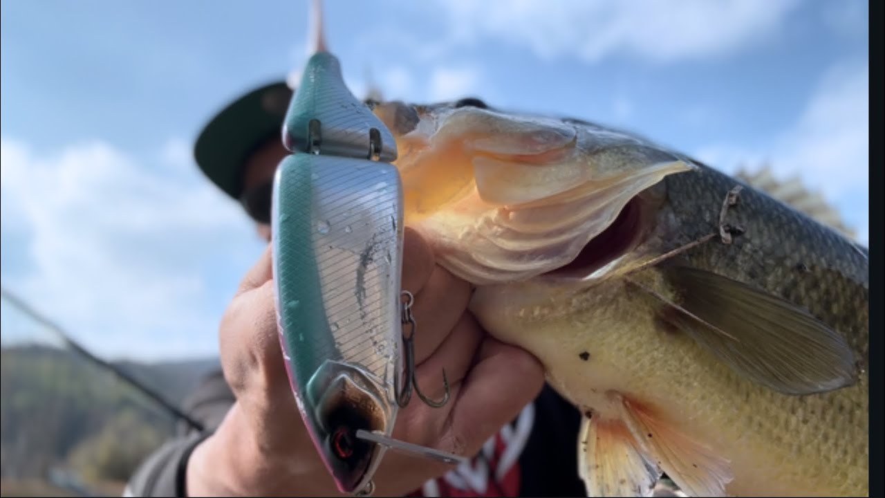 Bass Fishing] Explaining the midwinter big bait game while