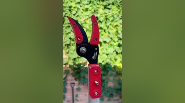 Kéo cắt cành cây hái quả trên cao