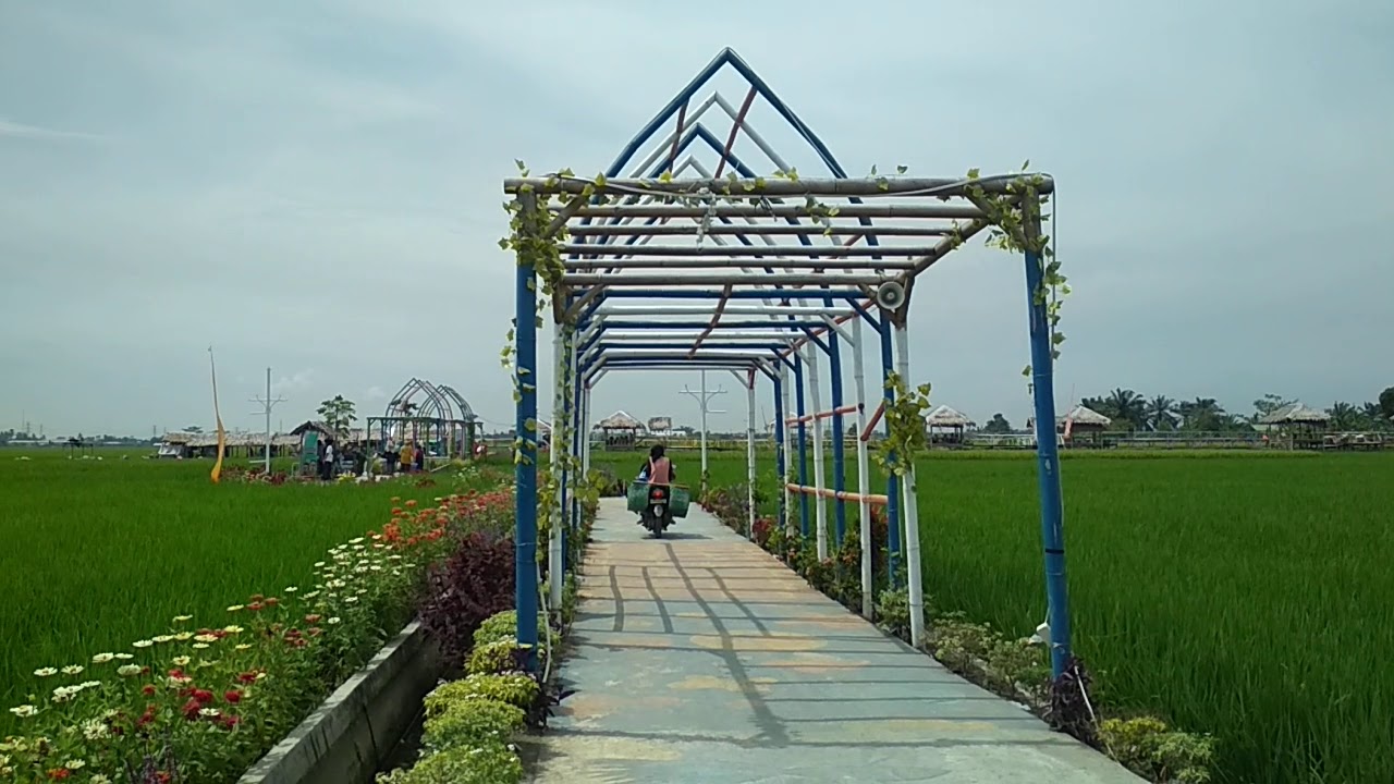 WisatA SawaH 