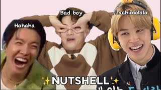 BTS in a ✨NUTSHELL✨ (1K subs special)