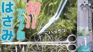 【はさみ】100均のハサミで、水草をトリミングしない理由が分かった。ニッソー トリミングハサミ【ふぶきテトラ】