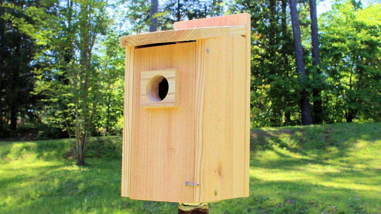 How to Make a Birdhouse with 1 board | Simple DIY - YouTube