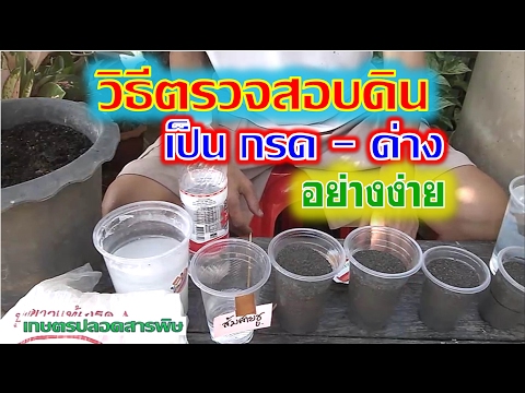 วิธีตรวจสอบดินเป็นกรด-ด่างอย่างง่าย I เกษตรปลอดสารพิษ