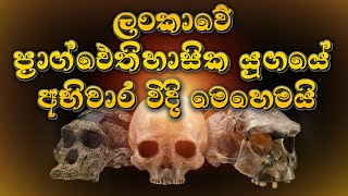 grade 6,7,8,9,10,11/history lesson/ලංකාවේ ප්‍රාග් ඓතිහාසික යුගයේ අභිචාර විධි/Thaksalawa e college screenshot 1