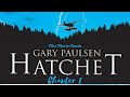 Hatchet by Gary Paulsen - Chapter One Quiz