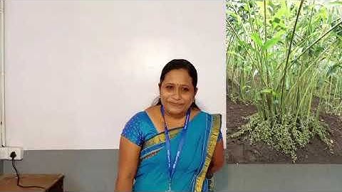 Std 5 Basic Science Unit1 Class 02 White Board ASD