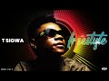 T SIGWA FREESTYLE VISUALIZER T SIGWA FREESTYLE VISUALIZER
