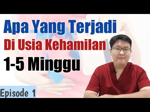 Video: Bagaimana Minggu Ke 5 Kehamilan?