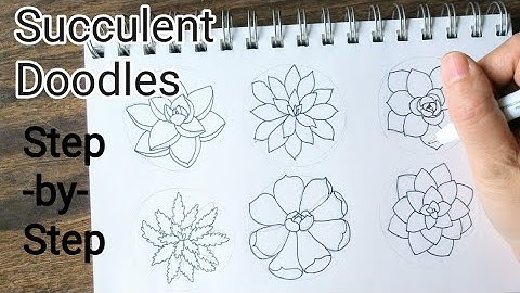 How to draw succulents the easy way | Doodles for beginners