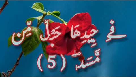 سورة المسد الآية 3 و 4 و 5 مكررة للحفظ