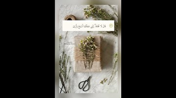 (قَالَ لَا تَخَافَا ۖ إِنَّنِي مَعَكُمَا أَسْمَعُ وَأَرَىٰ) / القارئ #رعد_الكردي.