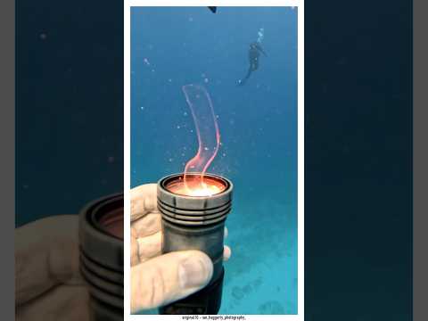 Оно обитает во всех морях и океанах