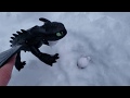 Dragons in the Snow
