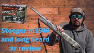 Stoeger m3500 predator/Turkey shotgun and Carlson longbeard xr choke review and pattern testing