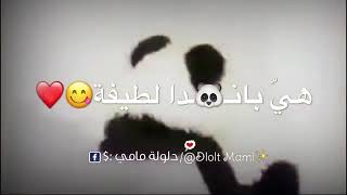 هي باندا لطيفة 🐼 😋 🌺|حالات واتس اب عن الباندا 😍♥️