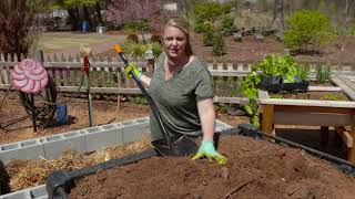 Building a Cinderblock Raised Bed and Planting Squash