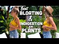 How to Eliminate Bloating & Improve Digestion: General Tips & Specific Plant-based Tips