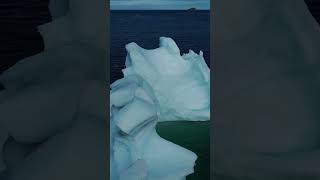 Newfoundland Iceberg #iceberg #drone #newfoundland