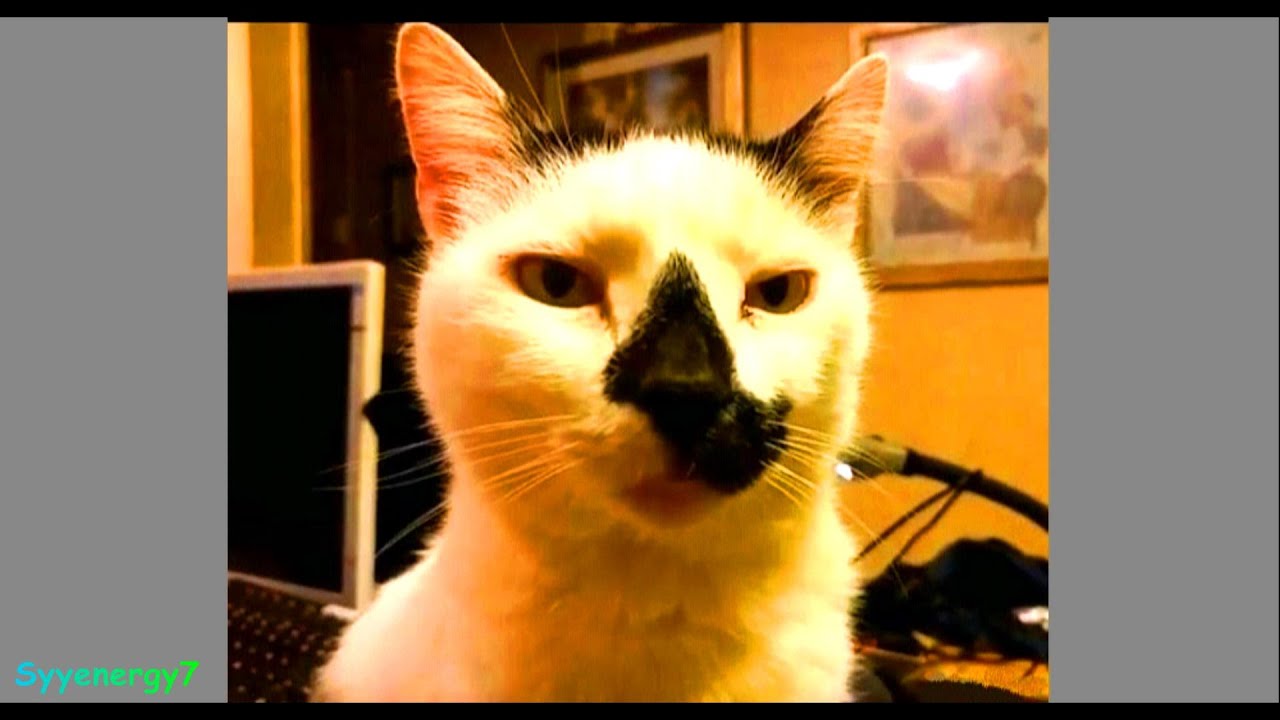 The BEZOS 10000 Year Clock, 12068 Year Cycle ???