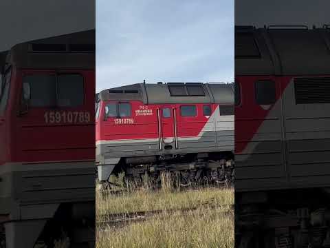 Эксклюзив‼️машка 2м62у 0352