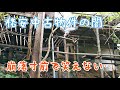 【40代無職バツイチ家を買う#7】格安で買った田舎の中古物件が崩落寸前のヤバい家過ぎて笑えない