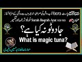 Jadu Tona Kiya Hay Ayat 102 103 Surah Baqarah سورۃ البقرہ Dars E Quran Epi 0073 Jadu Tona Kiya Hay Ayat 102 103 Surah Baqarah سورۃ البقرہ Dars E Quran Epi 0073