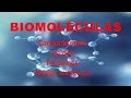 BIOMOLÉCULAS: Carbohidratos, lípidos, proteínas y ácidos ...