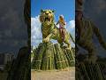 🔥 Giant Bamboo Tiger! An Old Man’s Incredible Creation #craft #ai #creative