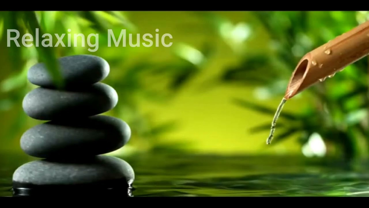 Relaxing Music 15 Minuts with Healing Bamboo Water Fountain Relaxing Meditation Bird Song YouTube