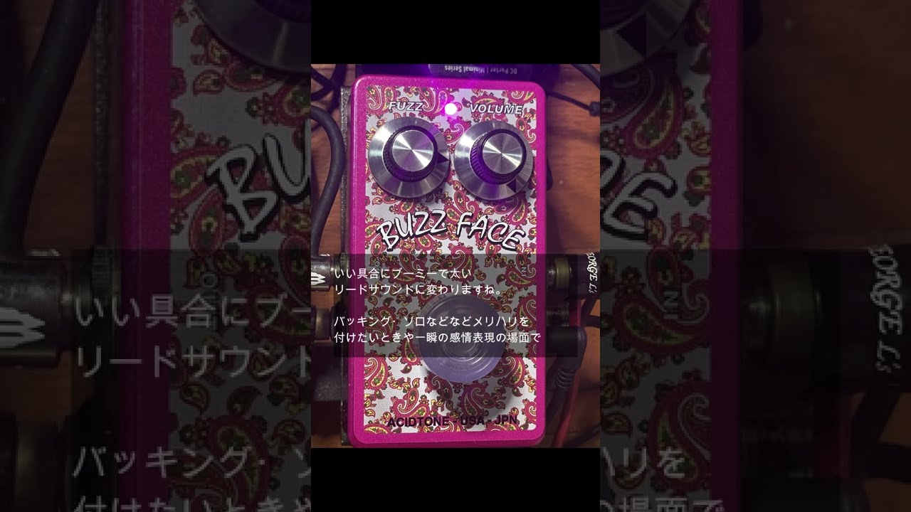 お礼や感謝伝えるプチギフト vol.4 1分エフェクター紹介 radio GIU ACID FACE BUZZ / TONE ギター