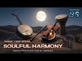Arabic Deep House Soulful Desert Harmony Banjo Irish Flute Violin Darbuka 