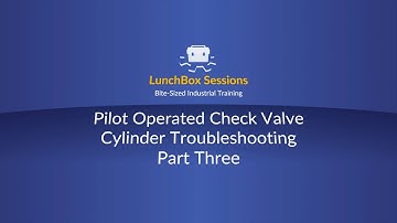 Pilot check valve part 3