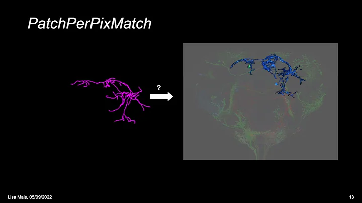 PatchPerPixMatch for Automated 3d Search of Neuron...