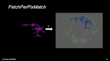 PatchPerPixMatch for Automated 3d Search of Neuronal Morphologies in Light Microscopy