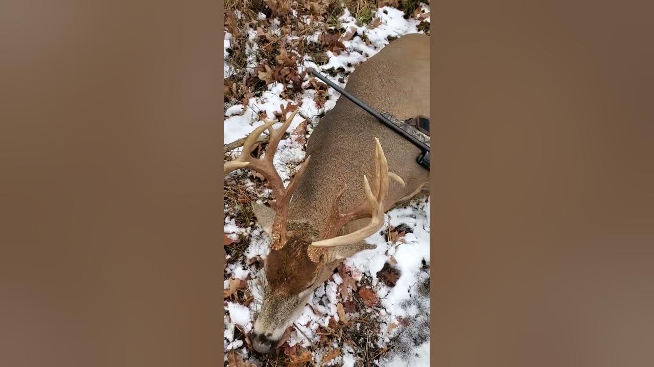 Deer Hunting in Kentucky 2022. shorts Kentucky deer season YouTube