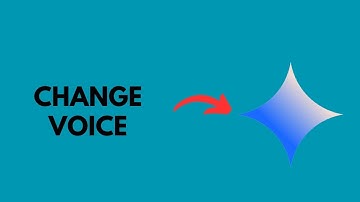 How to Change Google Gemini Voice on iPhone & Android?